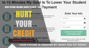 Student Loan Payment Plans: Impact on Credit Score