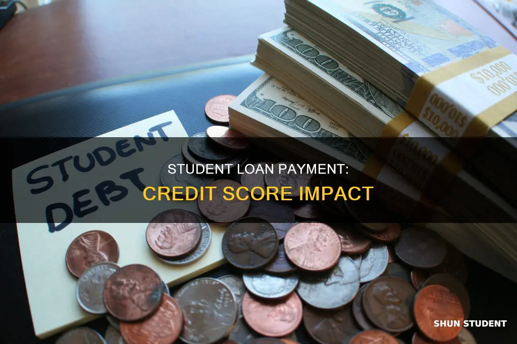 does paying my student loans help my credit
