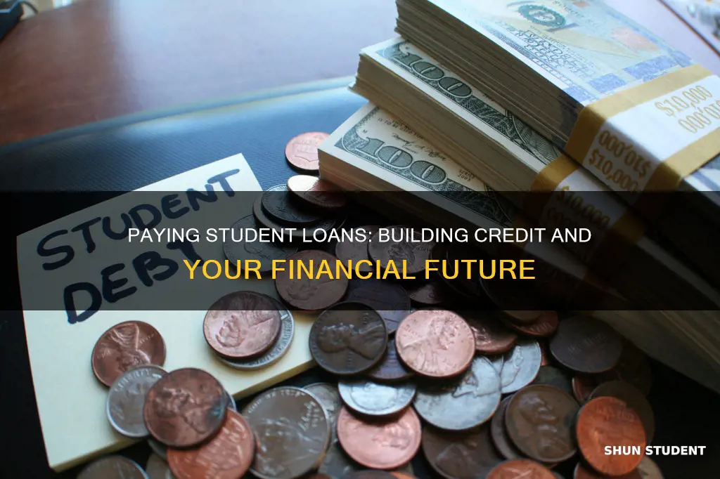 does paying student loans build credit
