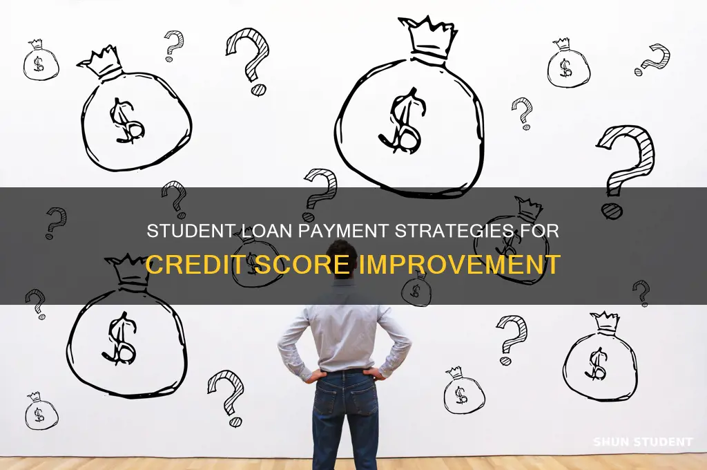 does paying student loans increase score