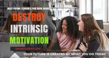 Extrinsic Rewards: Killing Student Intrinsic Motivation?
