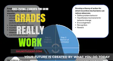 Paying for Grades: Does Money Motivate Students?