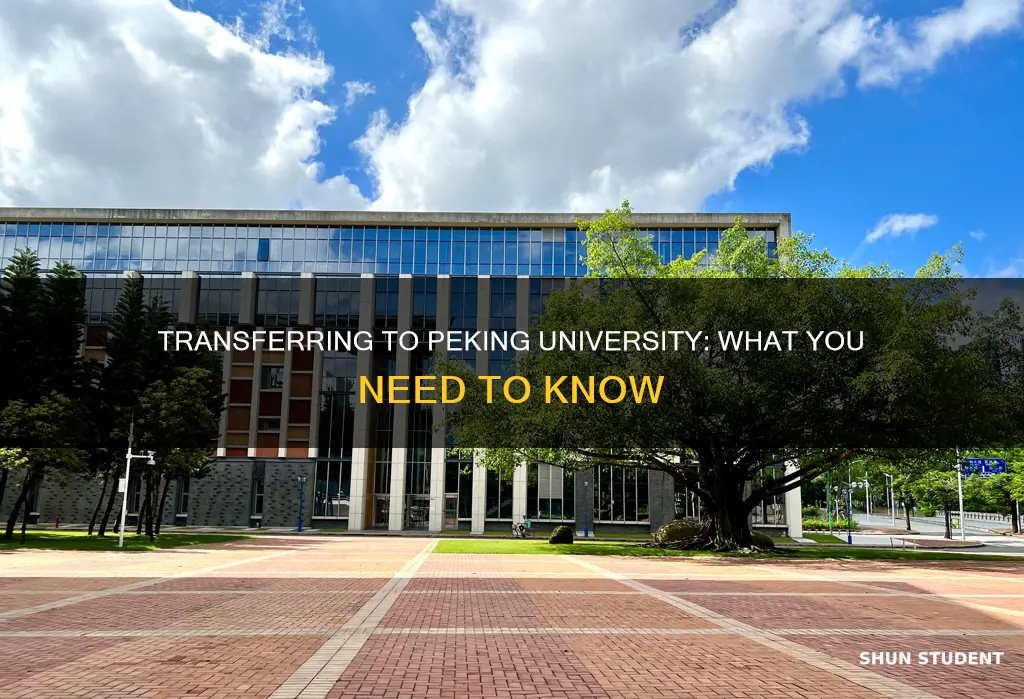 does peking university accept transfer students