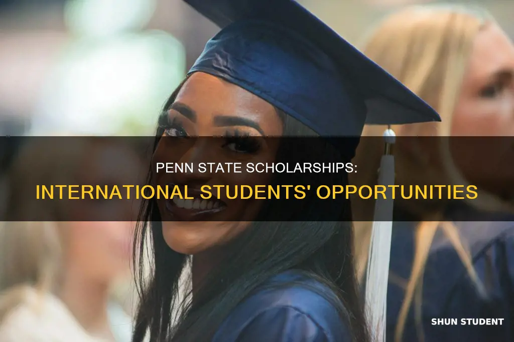 does penn state university offer scholarships to international students