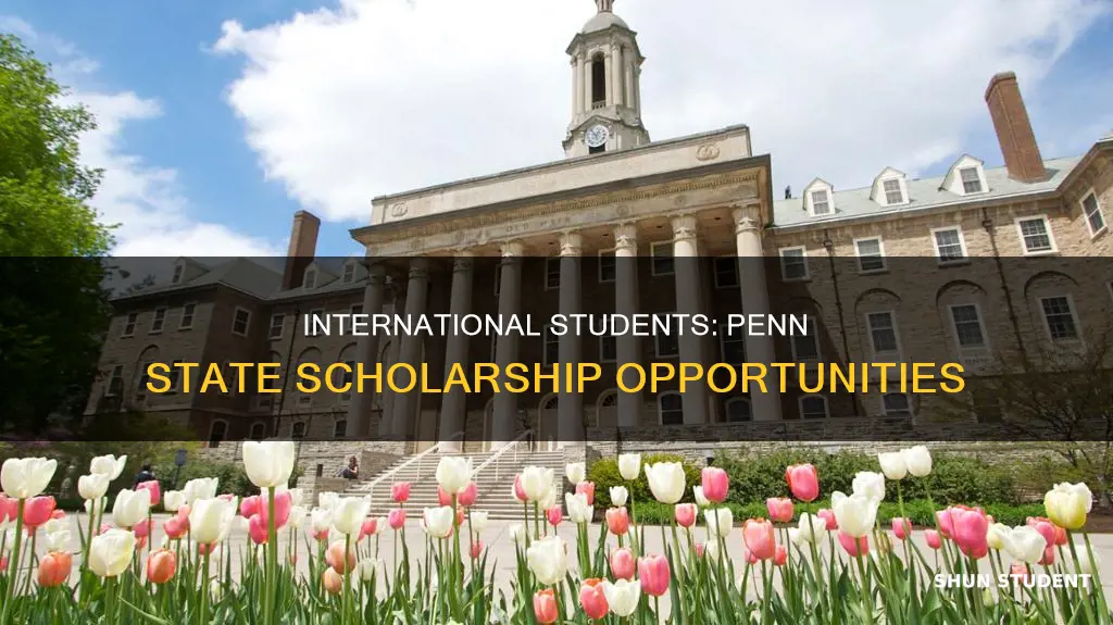 does penn state university offer scholarships to international students