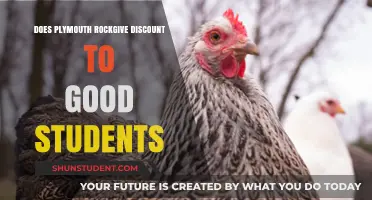 Plymouth Rock Discounts: Rewards for Good Students Explained