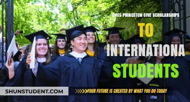 Princeton Scholarships: International Students' Opportunities