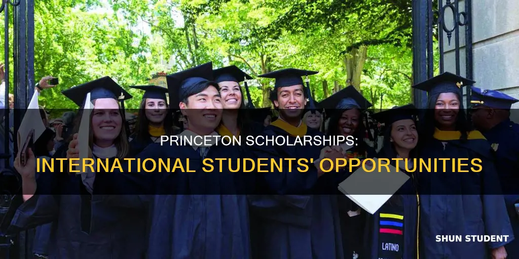 does princeton give scholarships to international students