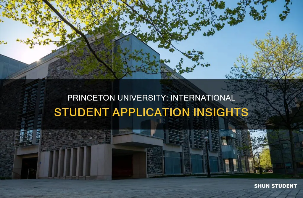 does princeton have a different application for international students