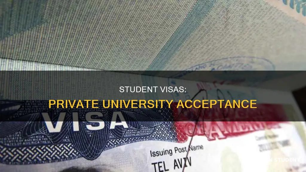 does private university accept student visa