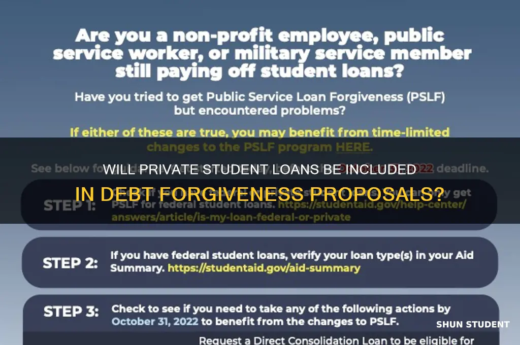does proposal to forgive student debt include private loans