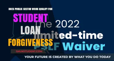 Public Sector Jobs: Do They Qualify for Student Loan Forgiveness?