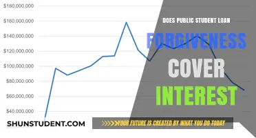 Does Public Student Loan Forgiveness Cover Interest? Key Facts Explained