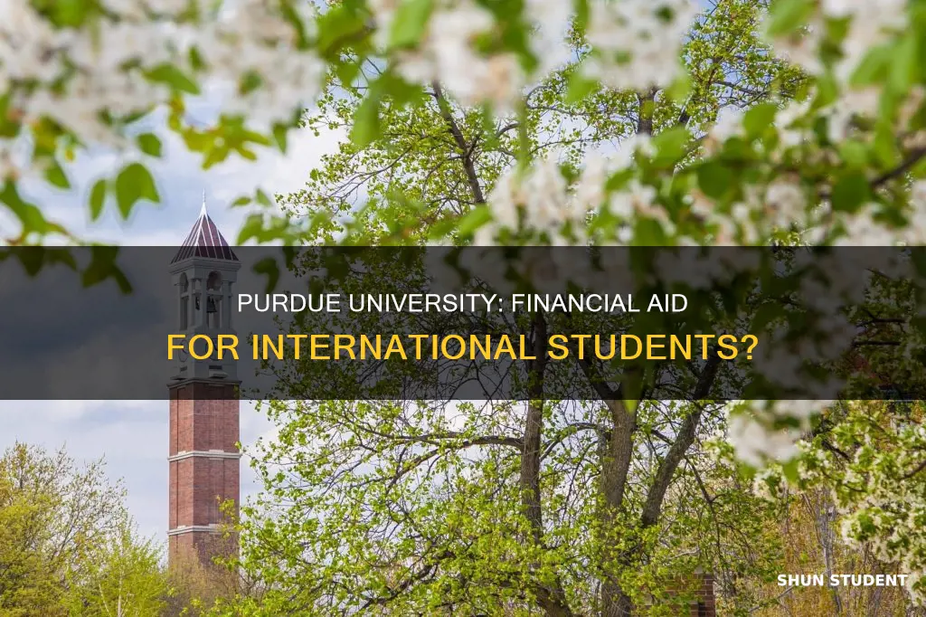 does purdue university offer financial aid international students