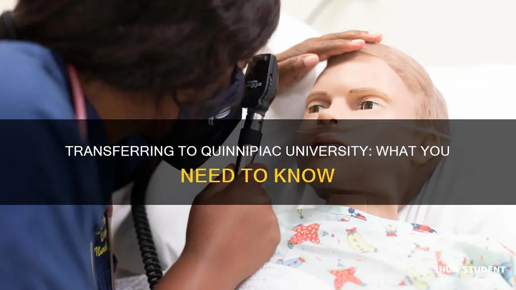 does quinipiac university accept transfer students