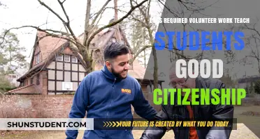Volunteer Work: A Path to Good Citizenship for Students?