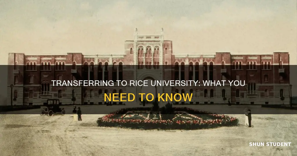 does rice university accept transfer students