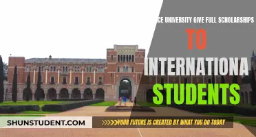 Full Scholarships for International Students: Rice University's Offer