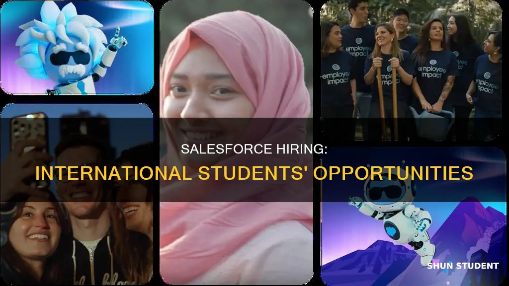 does salesforce hire international students