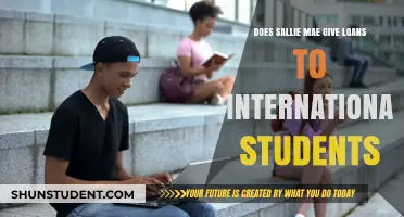 Sallie Mae Loans: Options for International Students?
