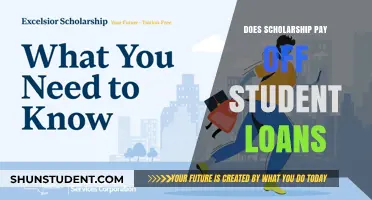 Scholarships: Student Loans' Best Friend?