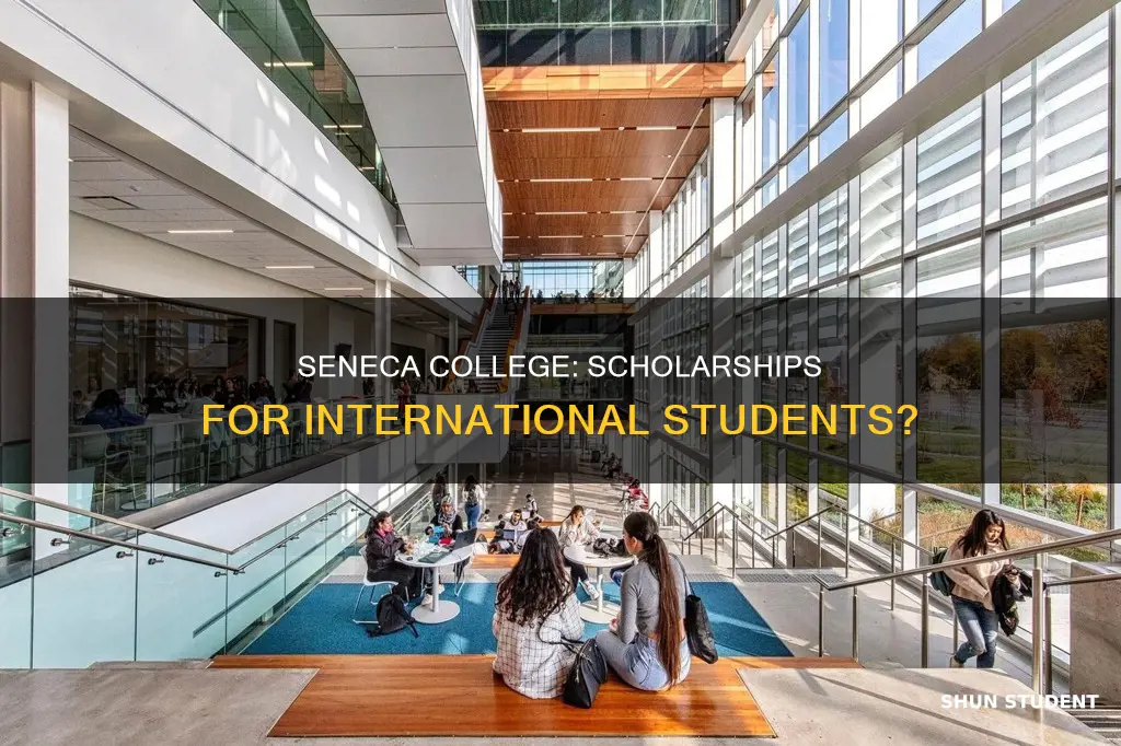 does seneca college offer scholarships for international students