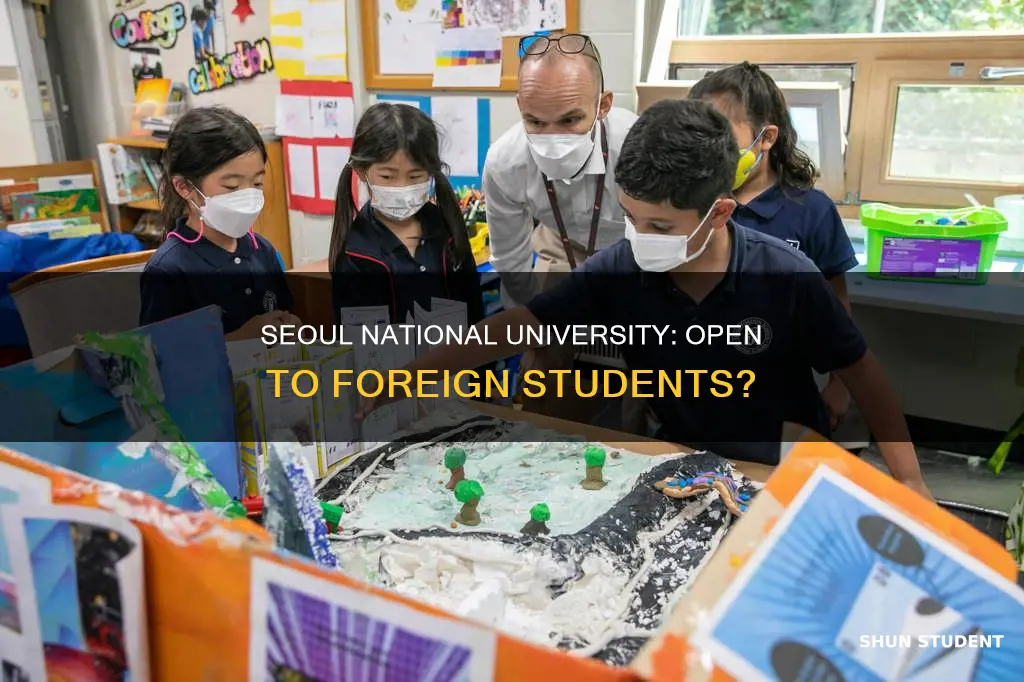 does seoul national university accept foreign students