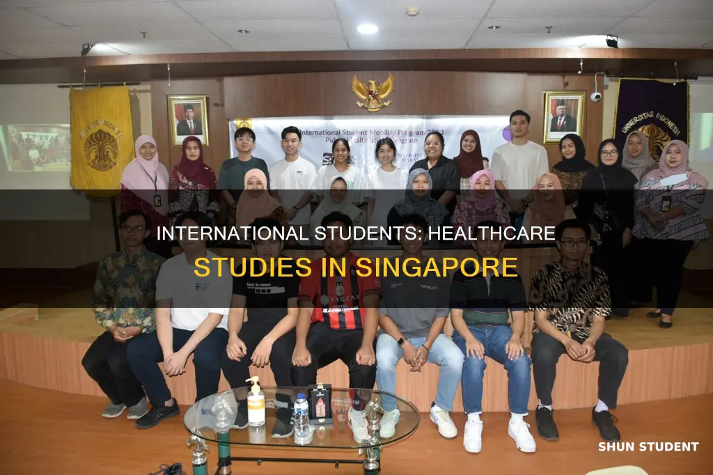 does singapore accept international students for health programs