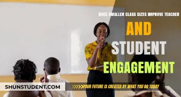 Smaller Class Sizes: Boosting Teacher-Student Engagement and Learning Outcomes