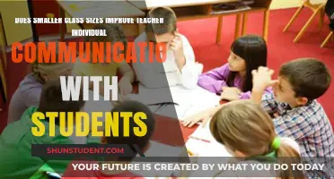 Smaller Class Sizes: Enhancing Teacher-Student Communication Effectively?
