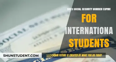 Social Security Number Expiry: International Students' Woes