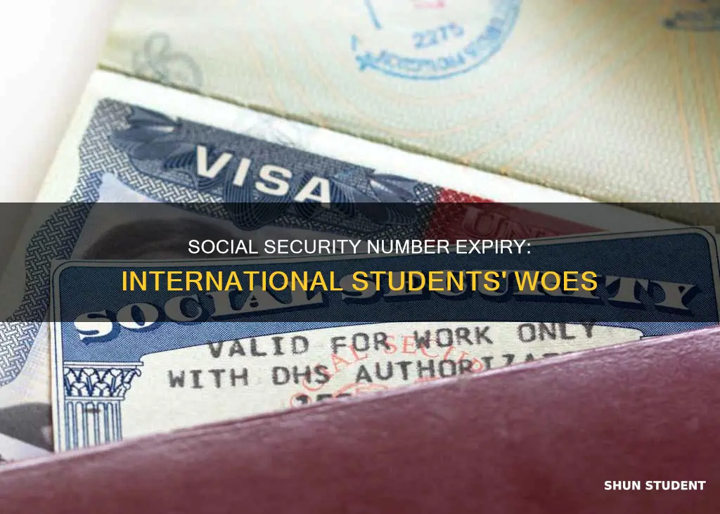does social security number expire for international students