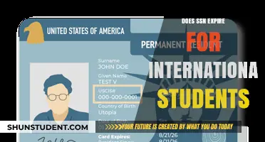 Social Security Number Expiry: International Students' Guide