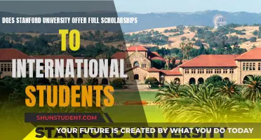 Full Scholarships at Stanford: International Students' Chances