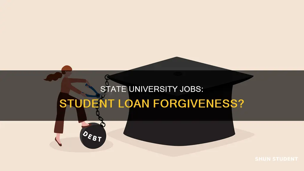 does state university job count towards student loan forgiveness