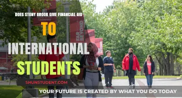 Stony Brook Financial Aid: International Students' Options