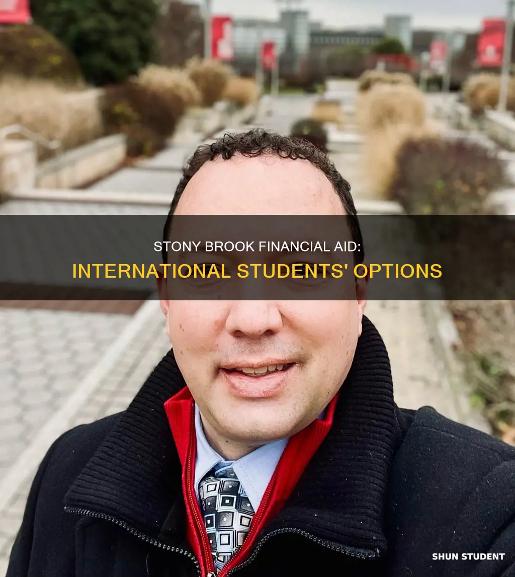 does stony brook give financial aid to international students
