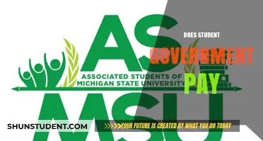 Student Government: Paid or Unpaid?