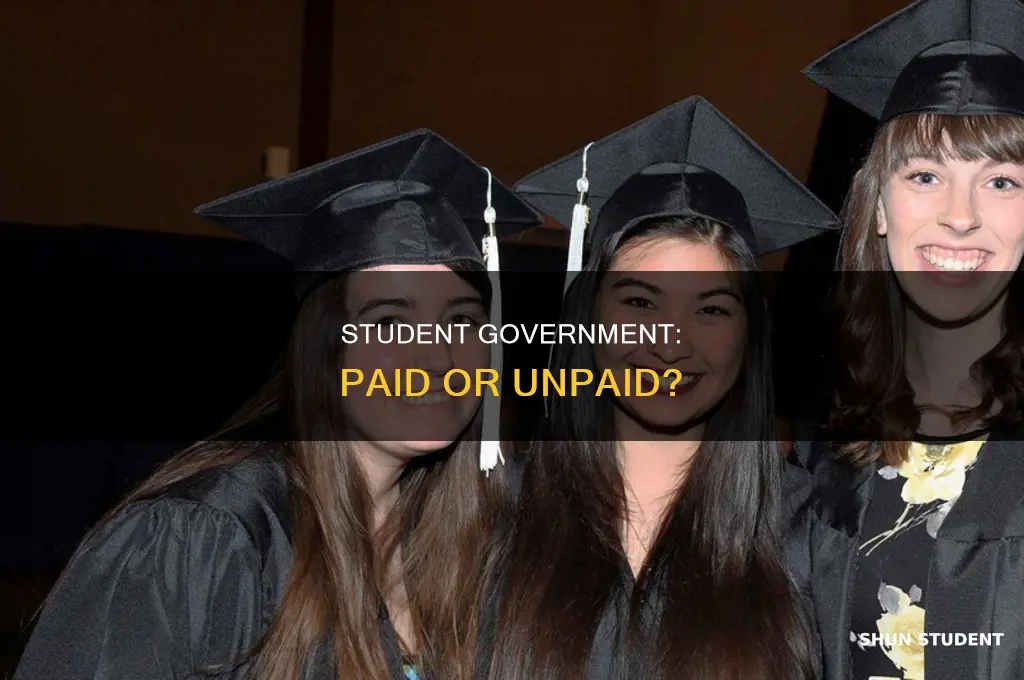 does student government pay