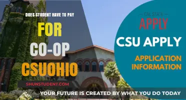 CSUOHIO Co-op Placements: Are They Paid?