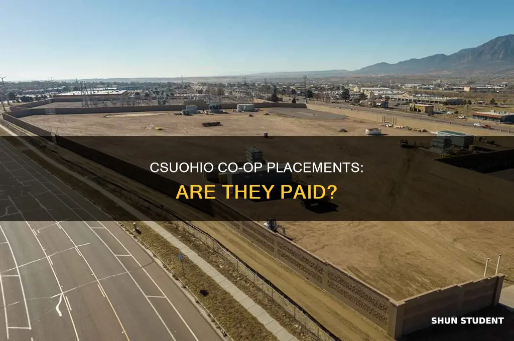 does student have to pay for co-op csuohio
