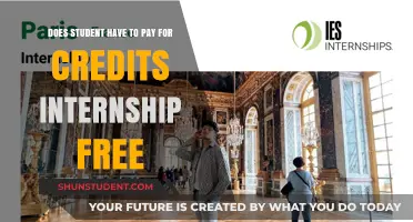 Internship Credits: Are They Worth Student Debt?