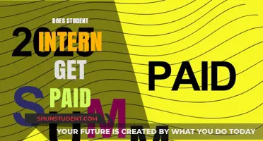 Internships: Are Students Paid or Unpaid?