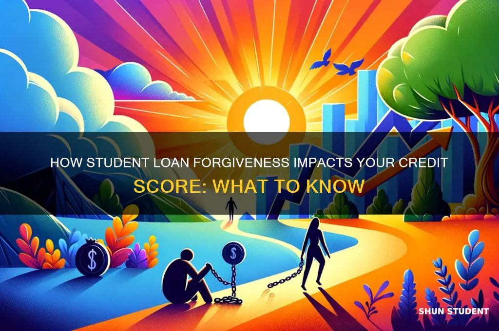 does student loan forgiveness affect credit score