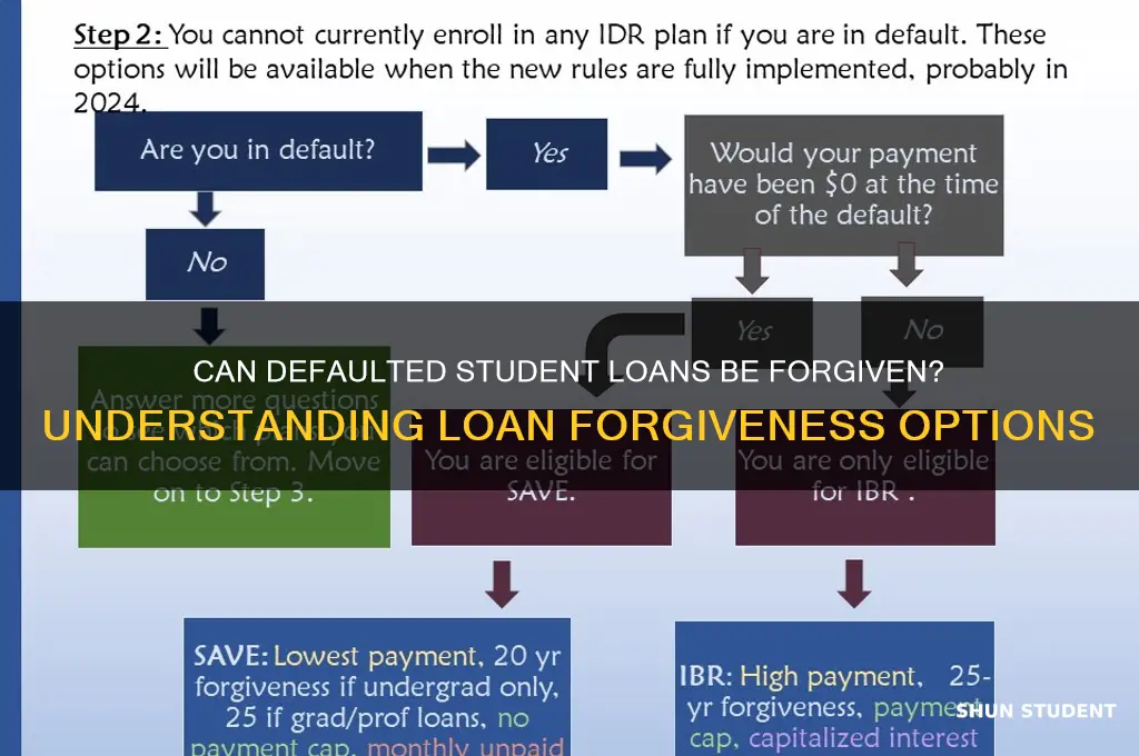 does student loan forgiveness apply to defaulted loans