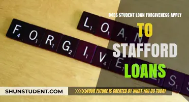 Does Student Loan Forgiveness Include Stafford Loans? Key Facts Explained