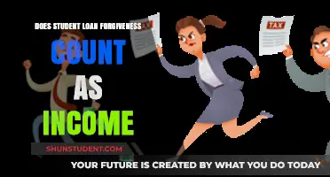 Is Student Loan Forgiveness Taxable Income? What Borrowers Need to Know