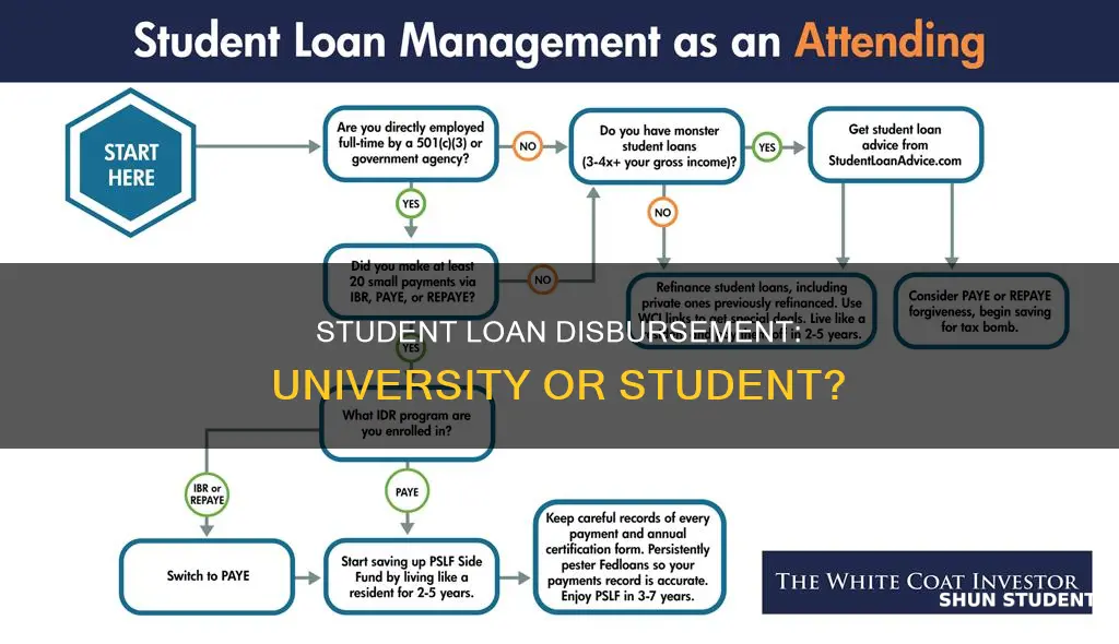 does student loan go straight to university