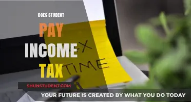 Students and Income Tax: Who Pays?