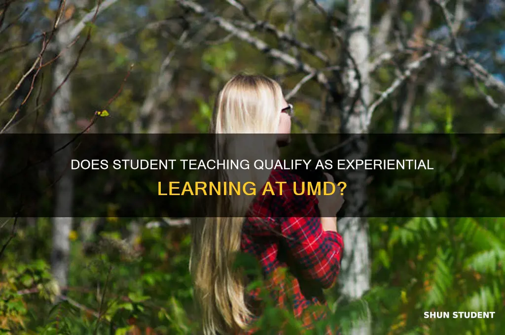 does student teaching count as experiential learning at umd